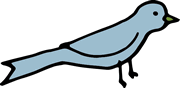 bird
